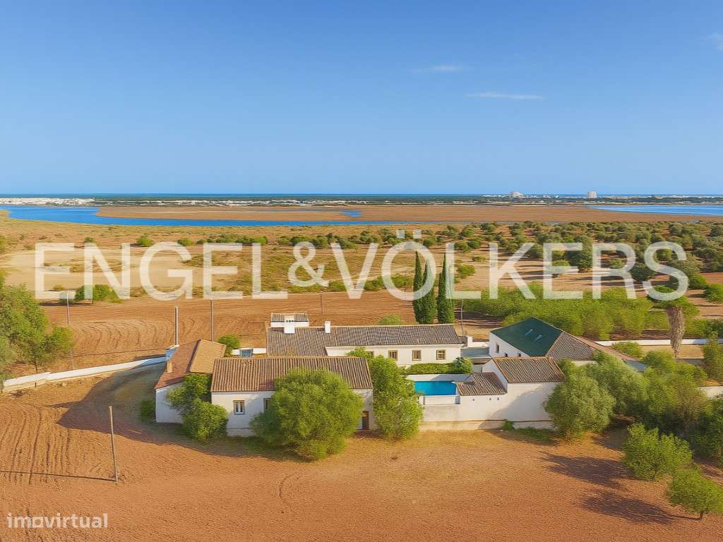 Marim Estate - Grande imagem: 4/30