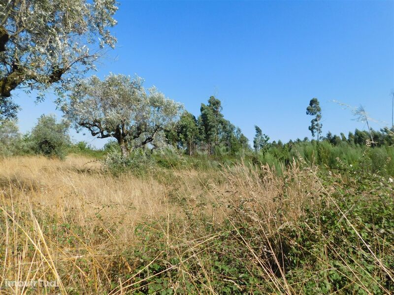 Terreno / Seia, Tourais e Lajes