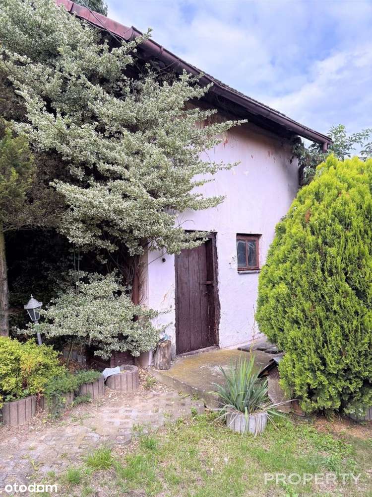 Podegrodzie dom do remontu na działce 700 m2-5