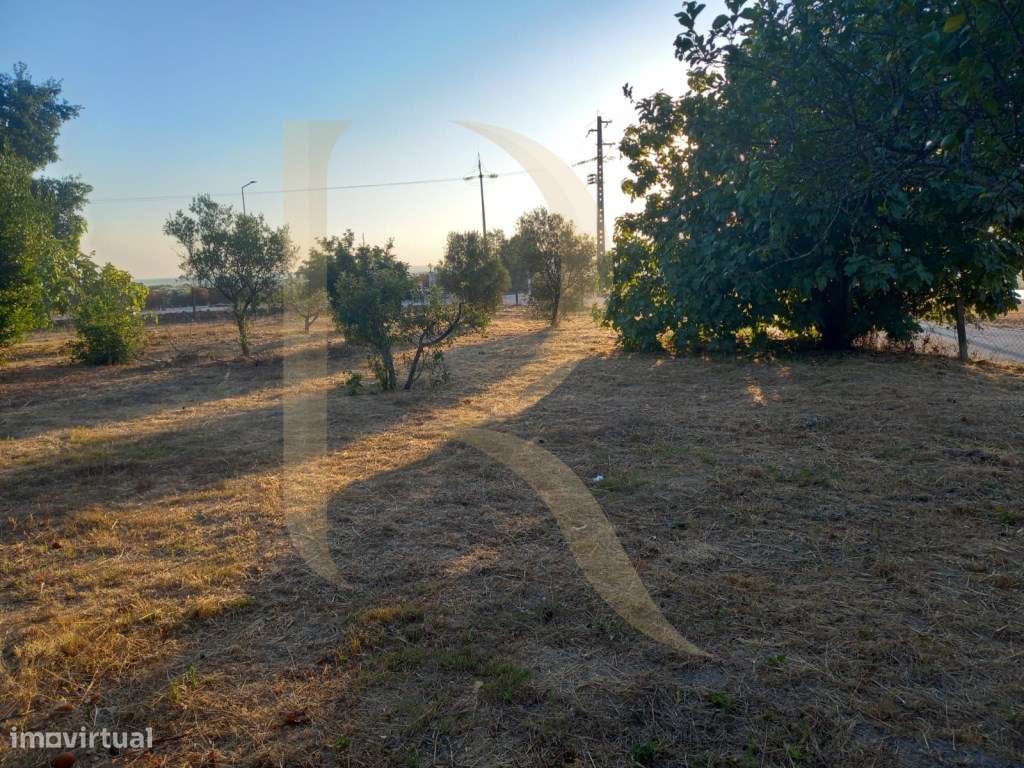 Moradia T3 transformada em T2 com Garagem, inserida num terreno de ...-24