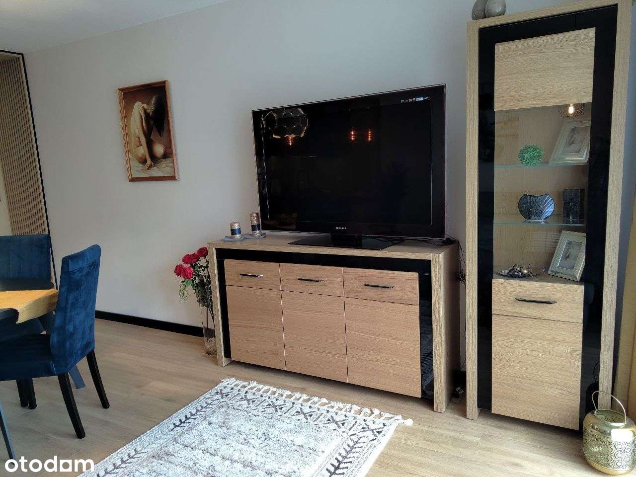 Do wynajęcia mieszkanie 44,5 m/2 w centrum - Pełny obrazek: 4/13