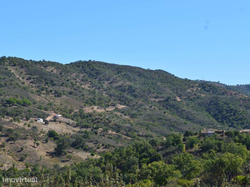 terreno Rustico, Loulé Algarve - Grande imagem: 2/18