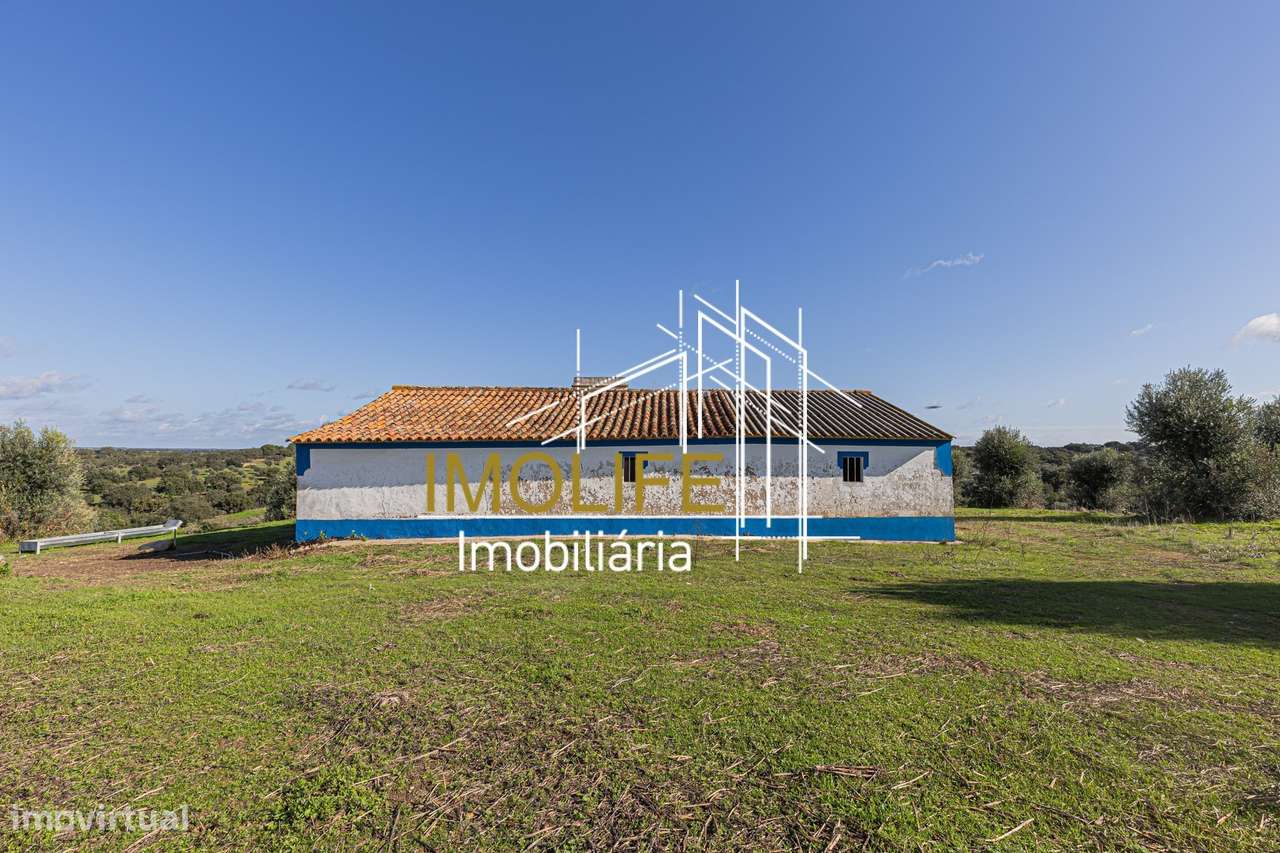 Monte Courela da Boavista - Tesas - Malarranha-50