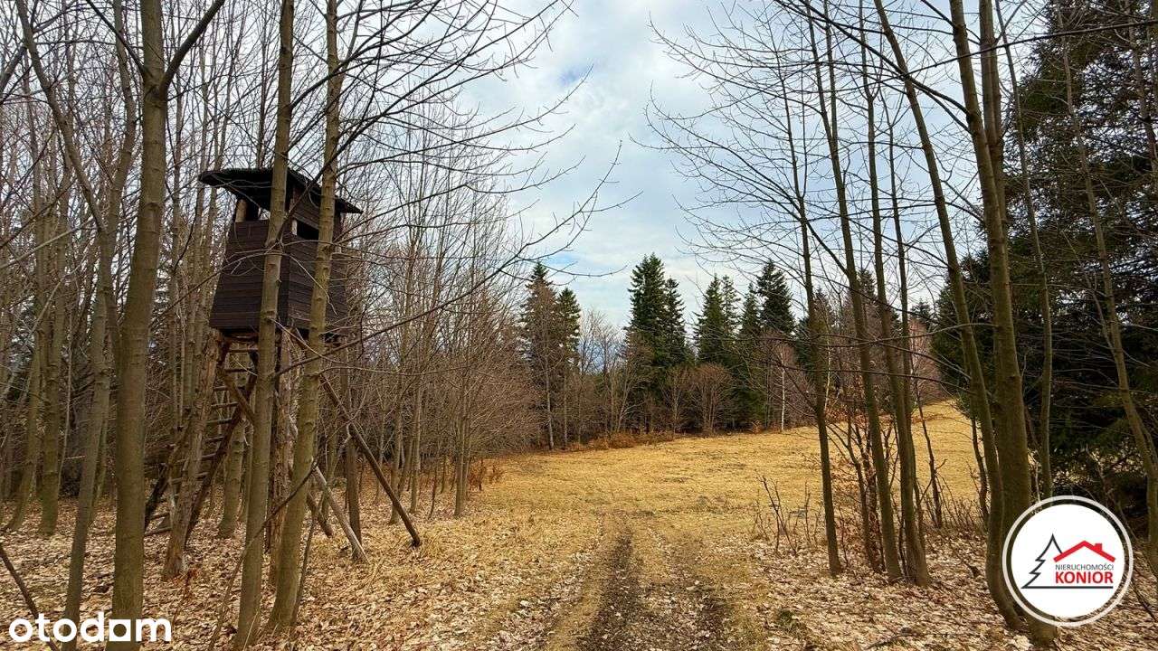 Działka na zboczu Skalitego . - Pełny obrazek: 2/9
