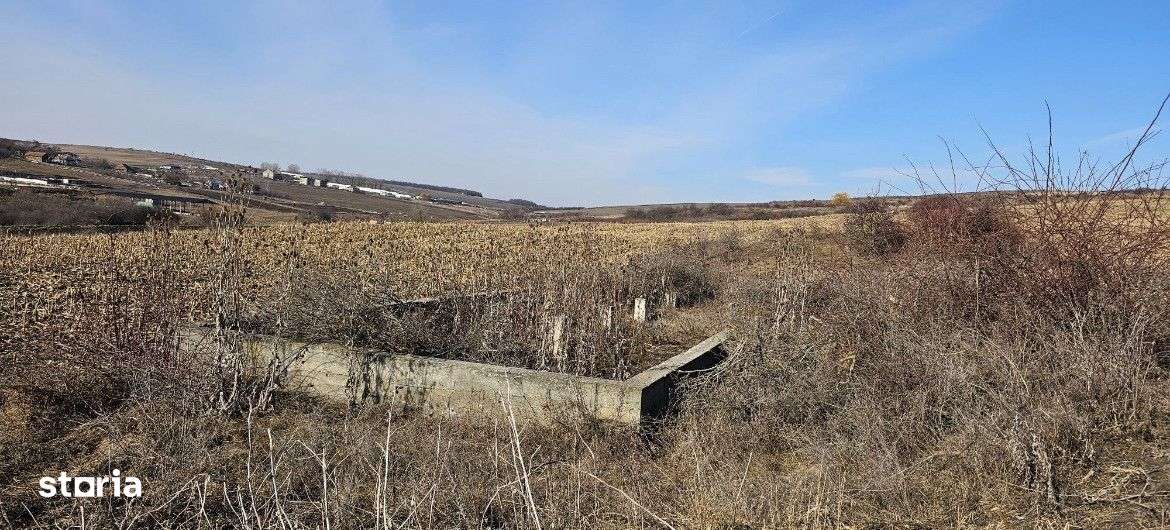 Teren 5800 mp, zona Valea Fanatelor - Imagine principală: 4/4