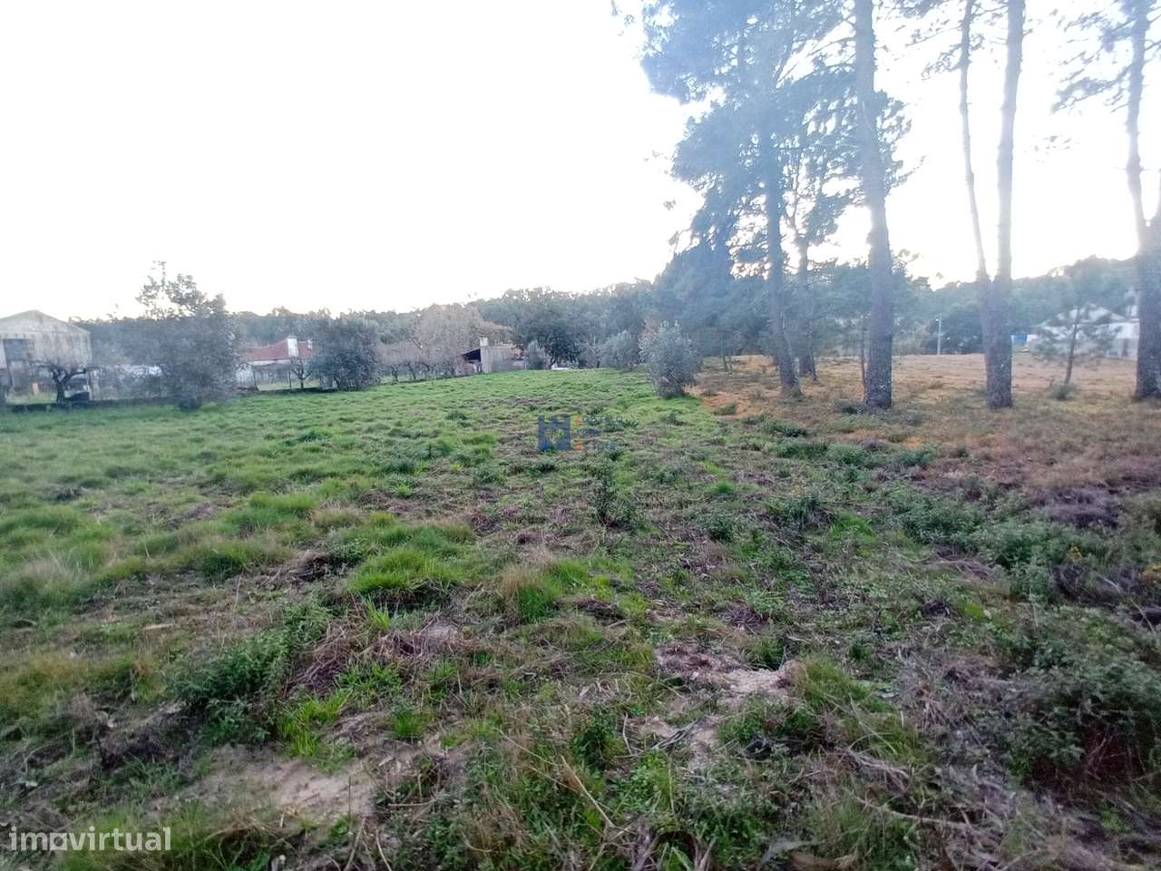 Terreno para construção no Escandarão, Ourém - Grande imagem: 5/26