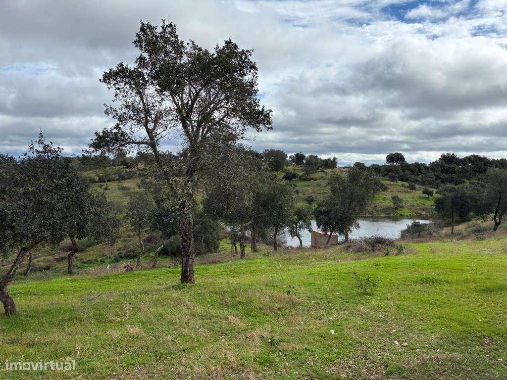 Quinta T2 em Serpa | Vista para a barragem-30