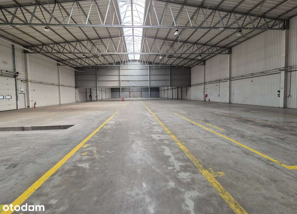 Batorowo gm.Tarnowo Podgórne hala 13700m2 - 0 KOSZTÓW DODATKOWYCH