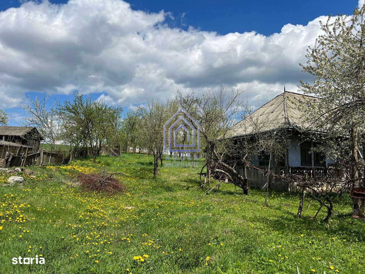 48 ari teren , cu casa batraneasca, Antoceni, Forasti, Suceava - Imagine principală: 4/9