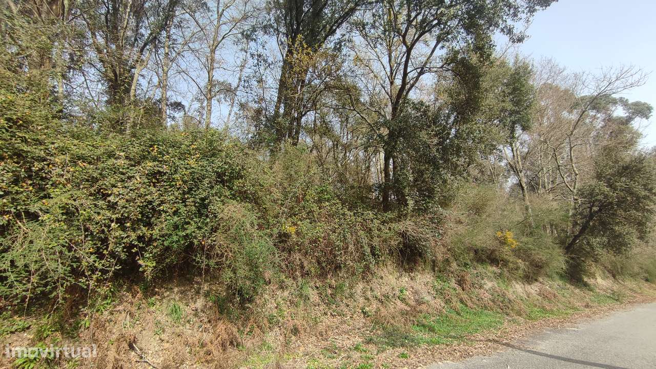 Terreno em Turiz, Vila Verde-15