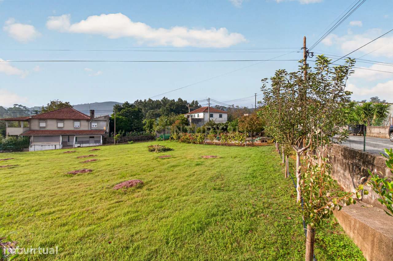 Terreno de construção em Alvito S. Martinho.-6