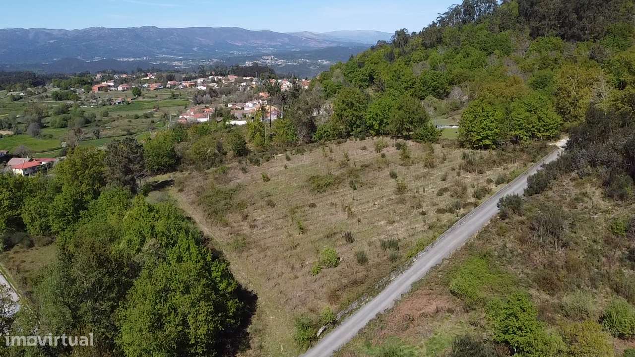 Terreno – Vouzela-14