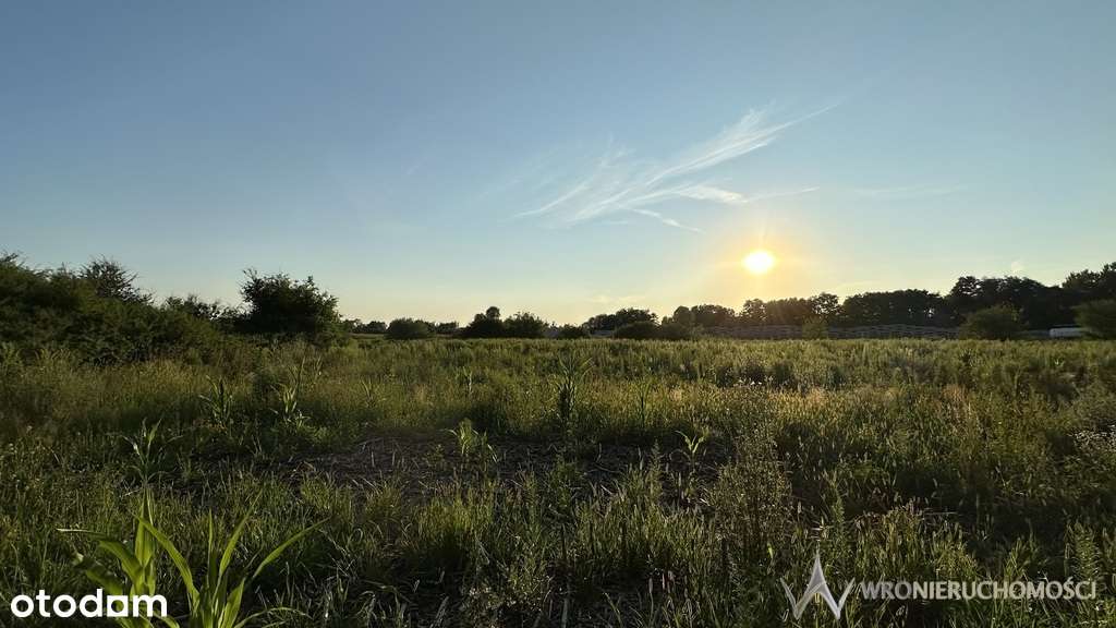 Inwestycja pod halę, logistykę, usługi - Pełny obrazek: 5/9