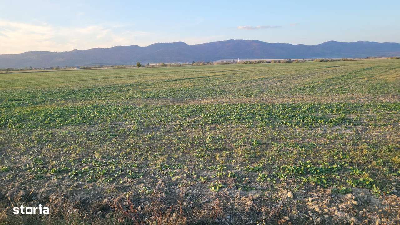 Teren de Vanzare Crizbav Brasov, curent , asfalt, apa ! Negociabil - Imagine principală: 5/7