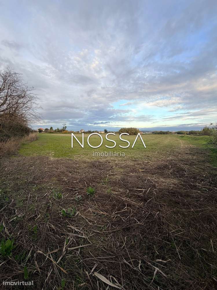 Terreno Misto de 26.520 m² na Barra Cheia – Potencial, Natureza e L...-8