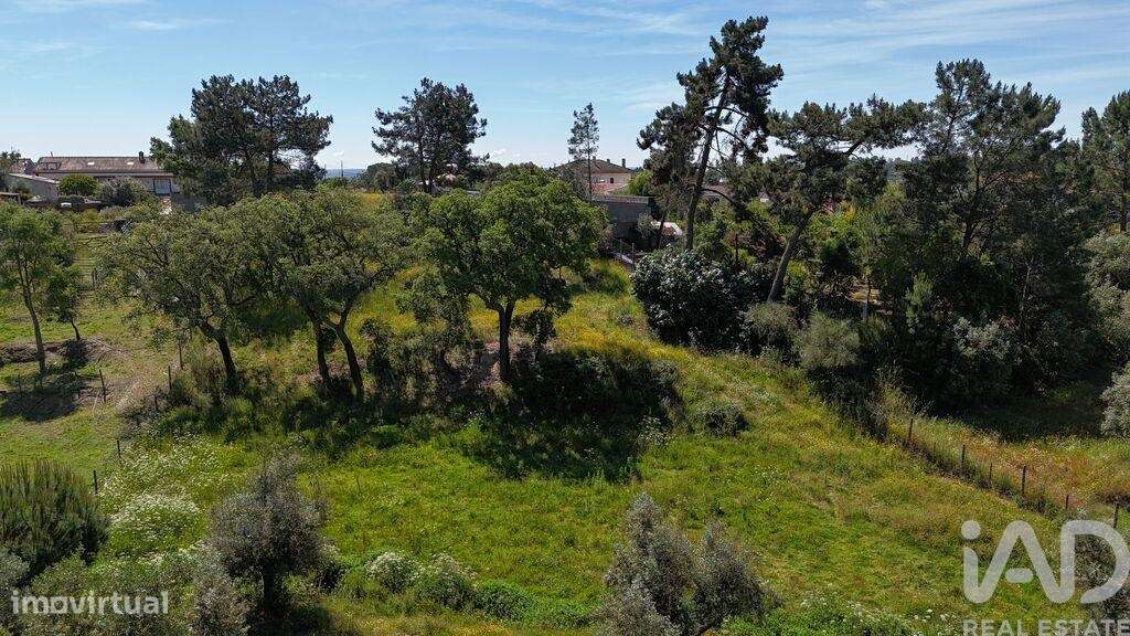 Terreno em Coruche, Fajarda e Erra de 6250,00 m2 - Grande imagem: 5/30