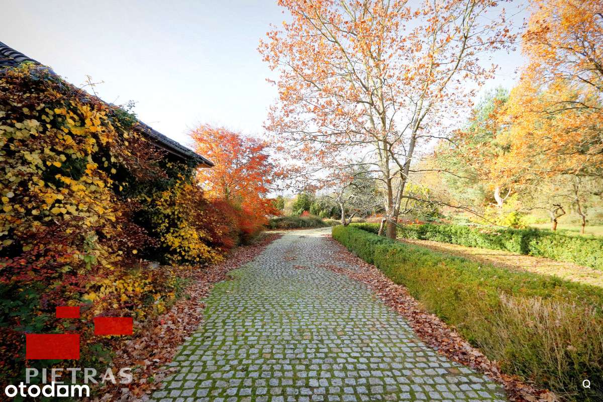 Wyjątkowe Puszcza Zielonka 3 działki z WZ-7