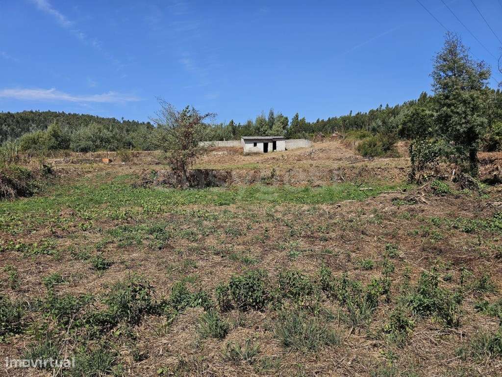 Terreno com 2.100 m2, confronta com rio Alva com boas acessibilidades - Grande imagem: 4/18