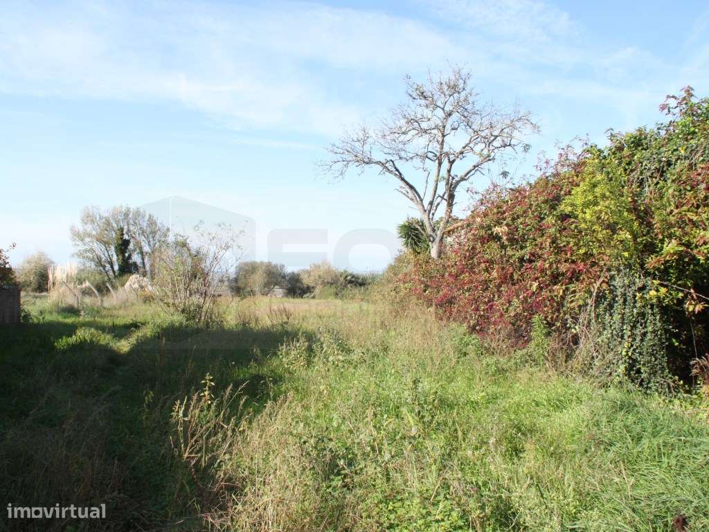 Terreno para construção de moradia com vistas Ria - Passadiços - Grande imagem: 5/9