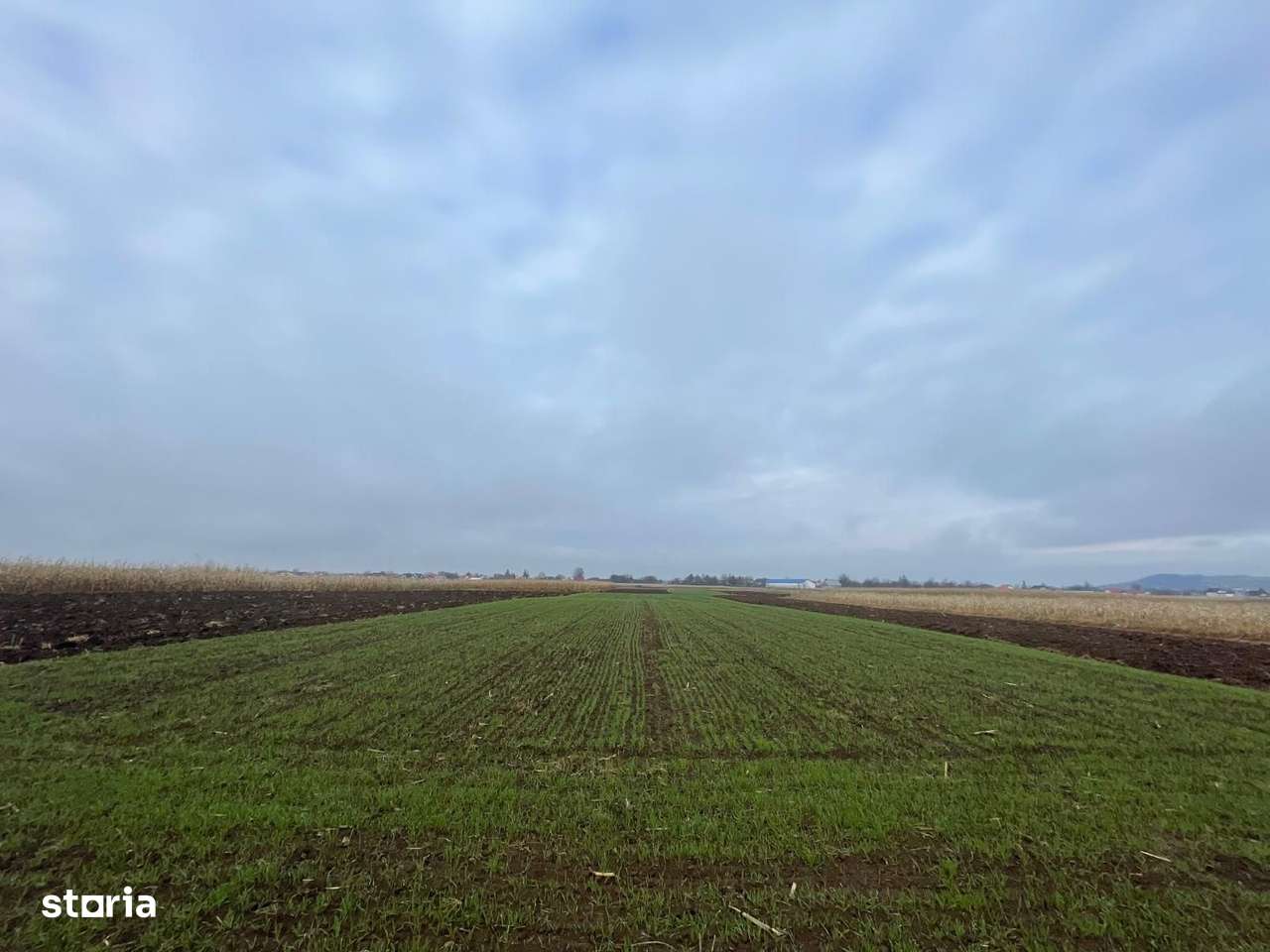 TEREN EXTRAVILAN 13 ARI | FRONT STRADAL 13 M | MARGINEA - Imagine principală: 5/11