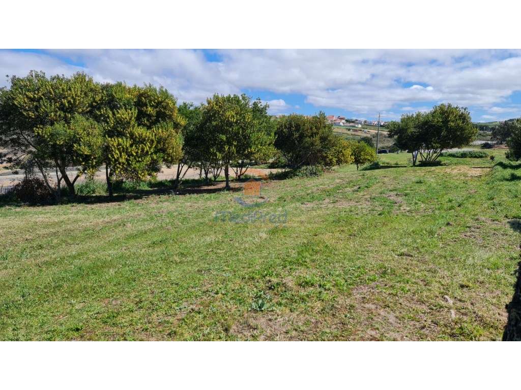 Terreno rústico em Póvoa de Penafirme com VISTA DE MAR! - Grande imagem: 3/4