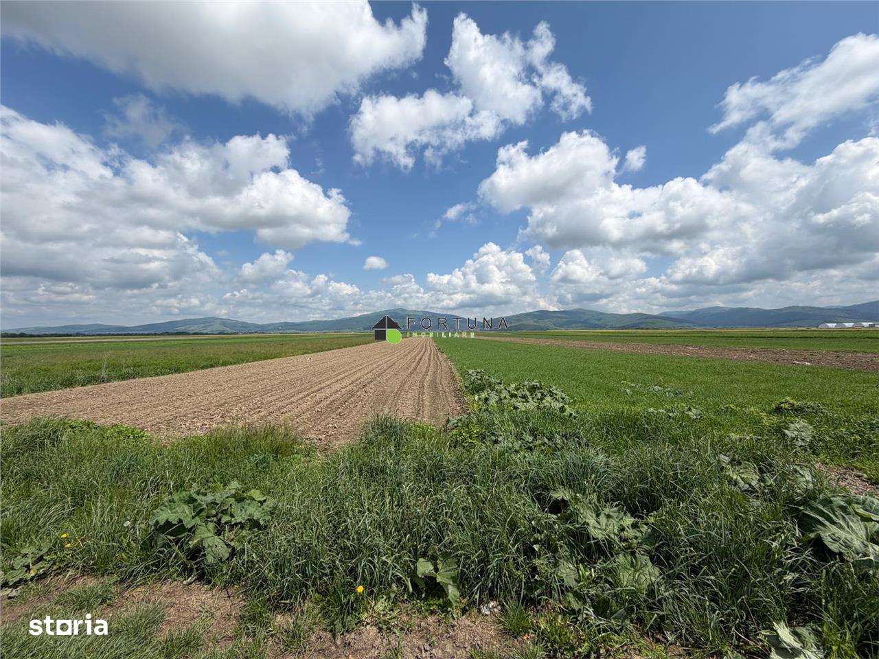 Teren extravilan 10.000 mp - Ieșire Prejmer spre Cărpini5-1