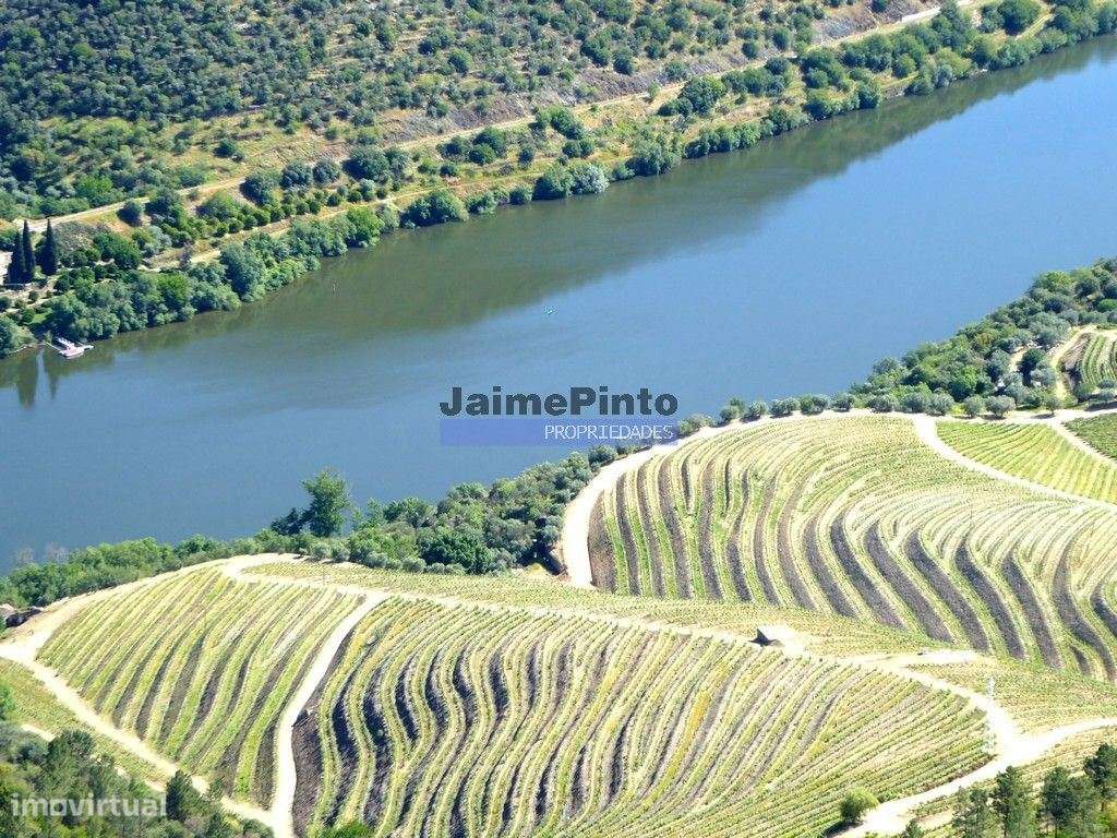 Quinta 98,7ha, Vinha, Turismo, rio Douro, Natureza imensa. Portugal... - Grande imagem: 2/9