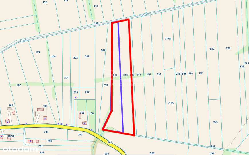 Działka rolna 1,6ha w Horodyszcze - Pełny obrazek: 4/4