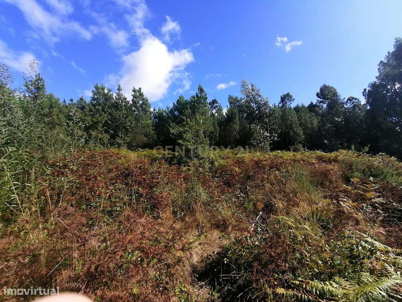 Terreno P/ZONA INDUSTRIAL  C/PROJECTO APROVADO em Geraz do Lima - Grande imagem: 3/18