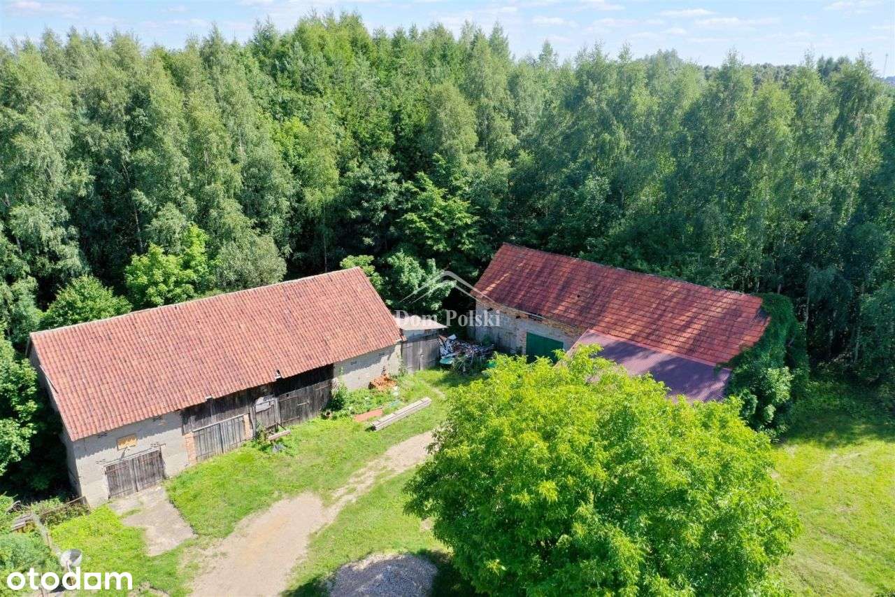 Dom z prywatnym lasem - Kowale Oleckie-6
