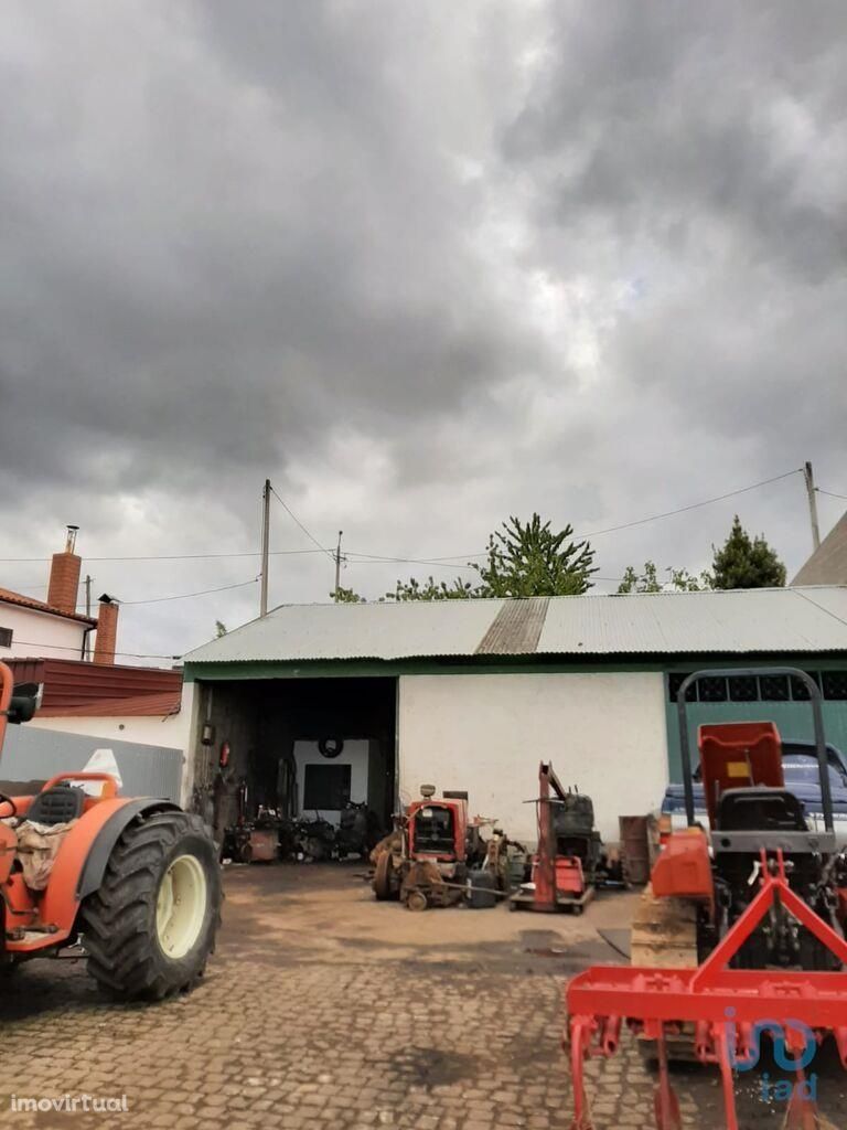 Loja / Estabelecimento Comercial em Bragança de 119,00 m2