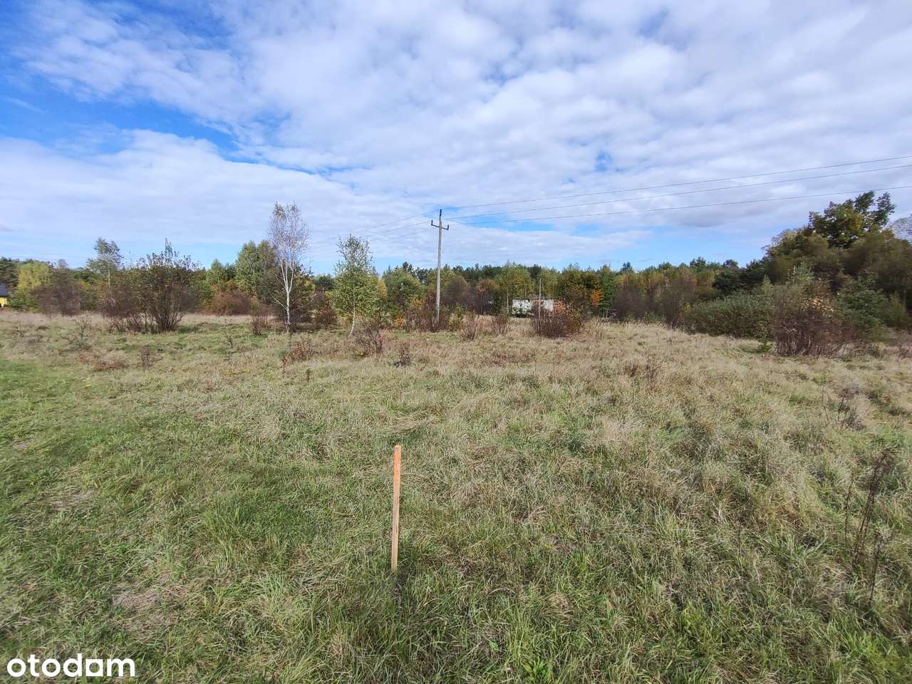 Działki przy lesie.-0
