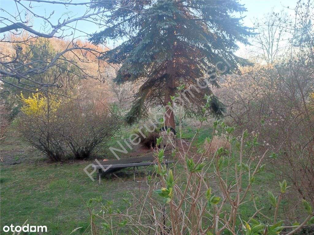 Mieszkanie, 71 m², Pruszków - Pełny obrazek: 2/10