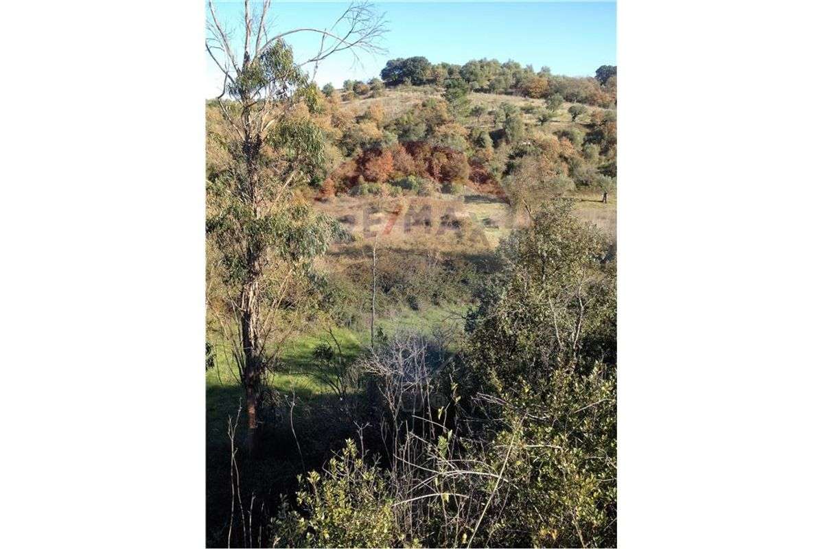 Terreno  para venda - Grande imagem: 1/3