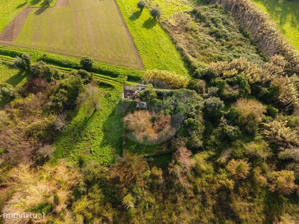 Quinta!! Perto de Coimbra! - Grande imagem: 5/21