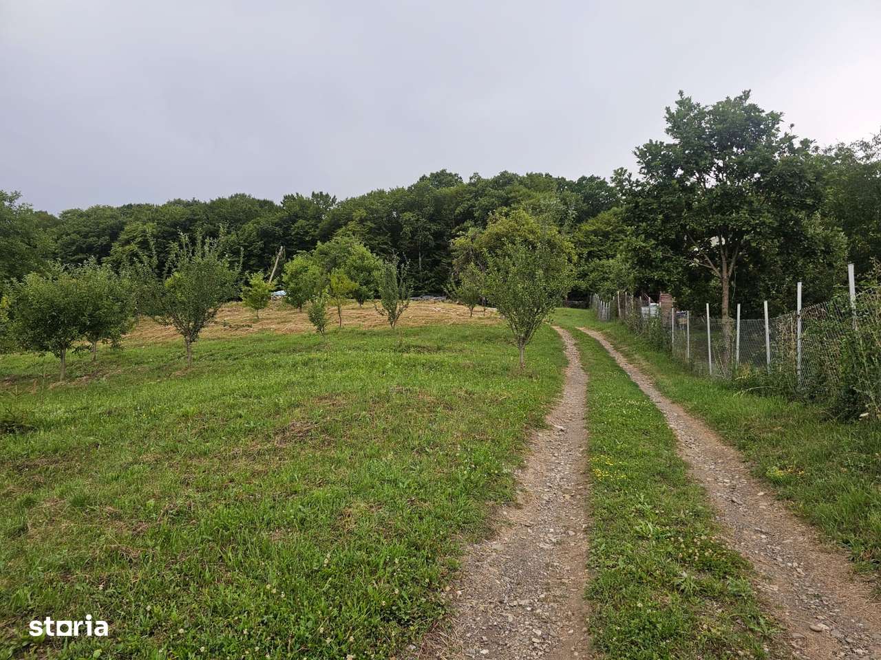 Teren 1.16 ha Valea Rusului – curent, 2 fântâni, căsuță + foișor-2