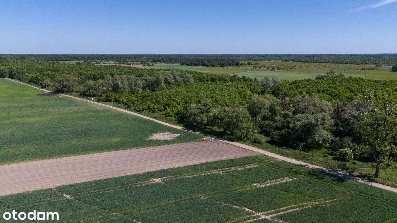 Chludowo, Budowlana, ul. Maniewska. 1200 m2. MPZP - Pełny obrazek: 5/18