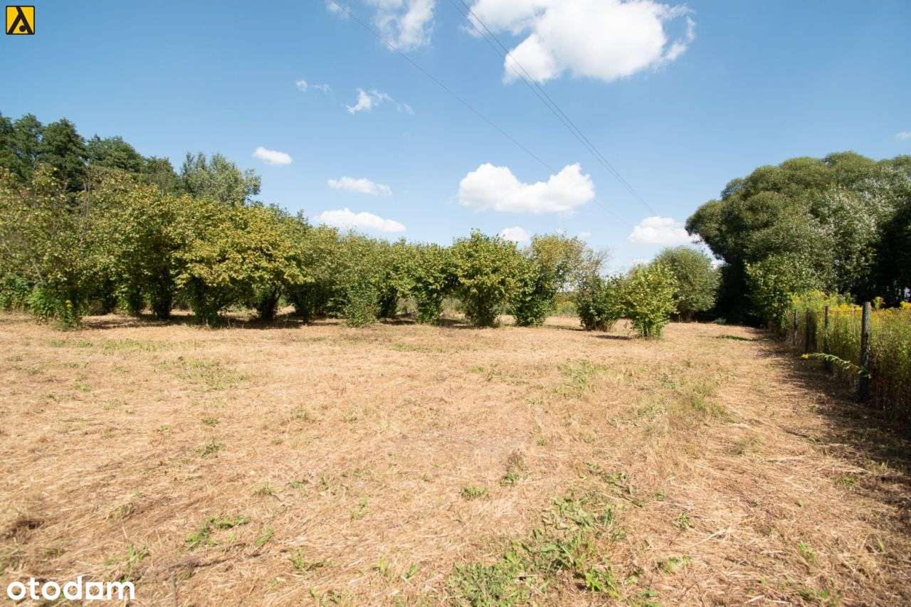 Działka 2997 m2, Czarne Błoto - Pełny obrazek: 4/4