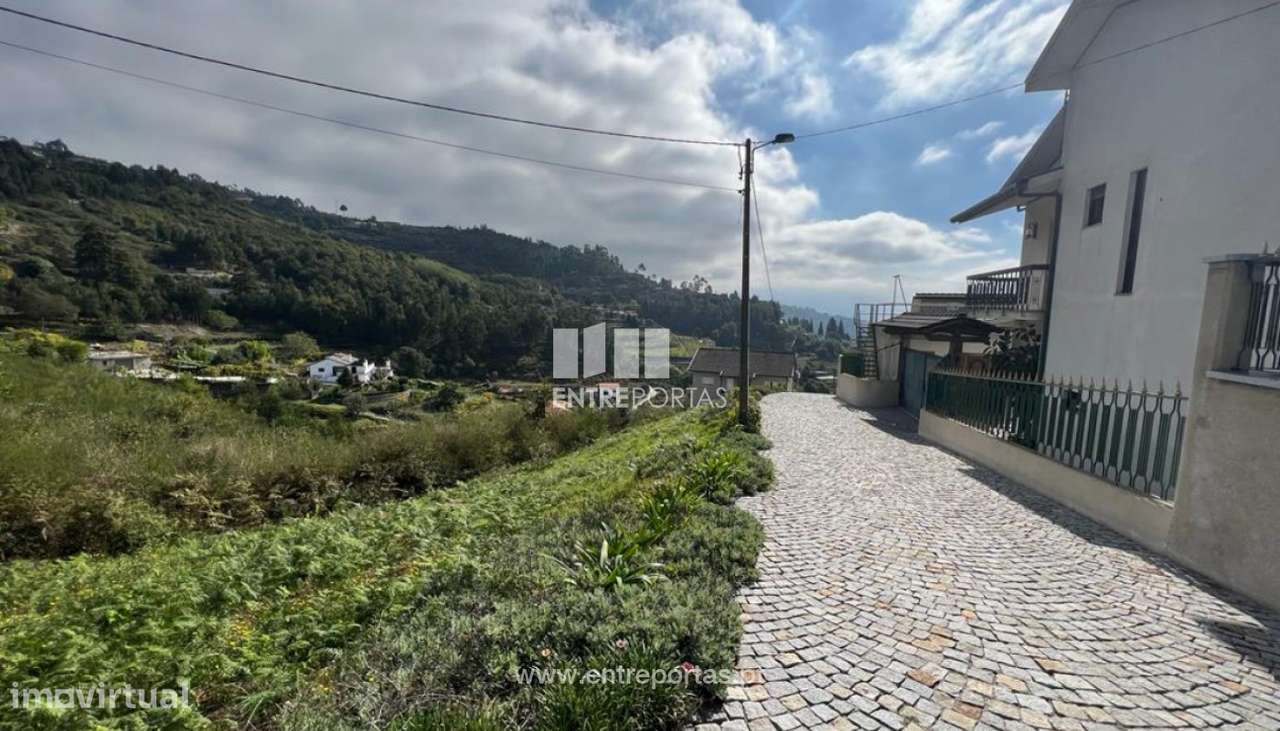 Venda Terreno, Santa Leocádia e Mesquinhata, Baião - Grande imagem: 3/30