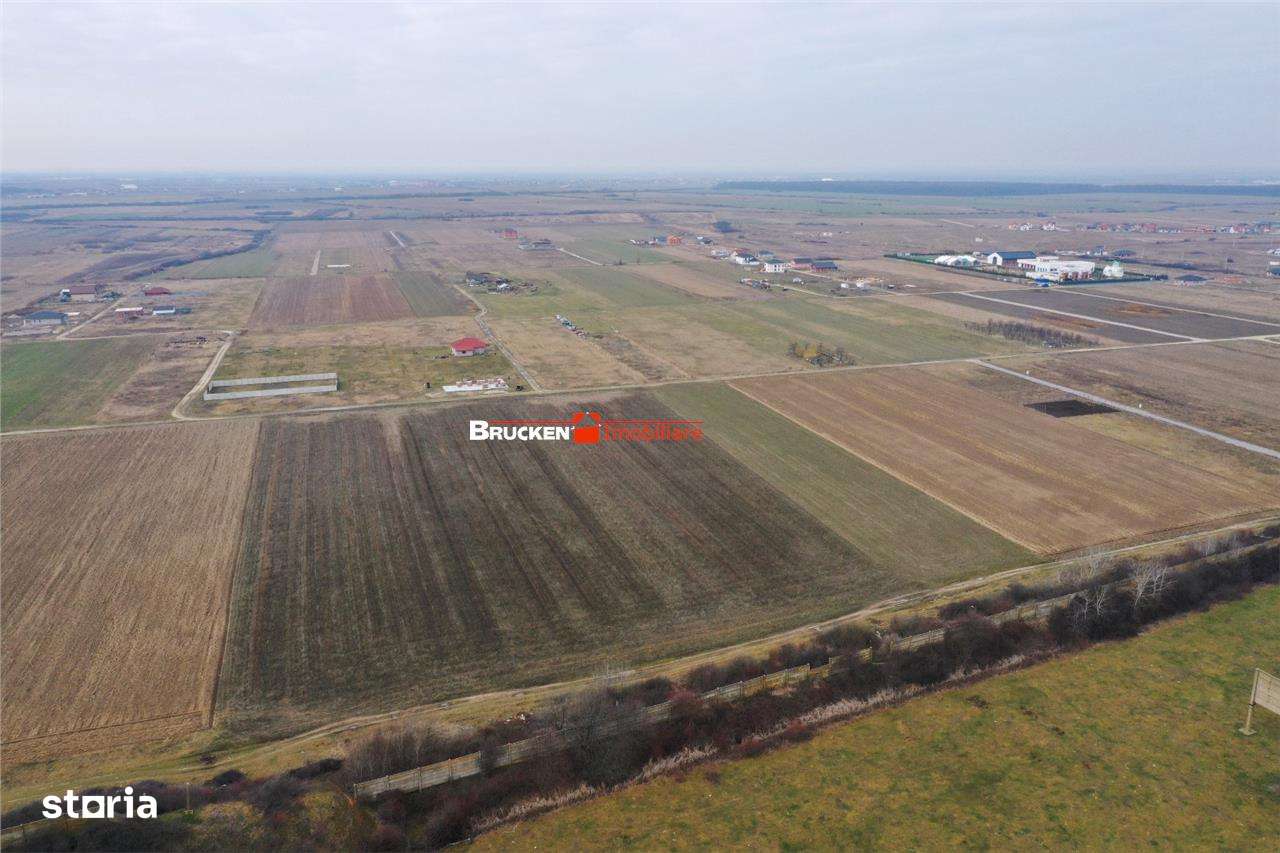 5 PARCELE PENTRU CASA | ZONA REZIDENTIALA I DEZVOLTARE | CIHEI - Imagine principală: 4/7