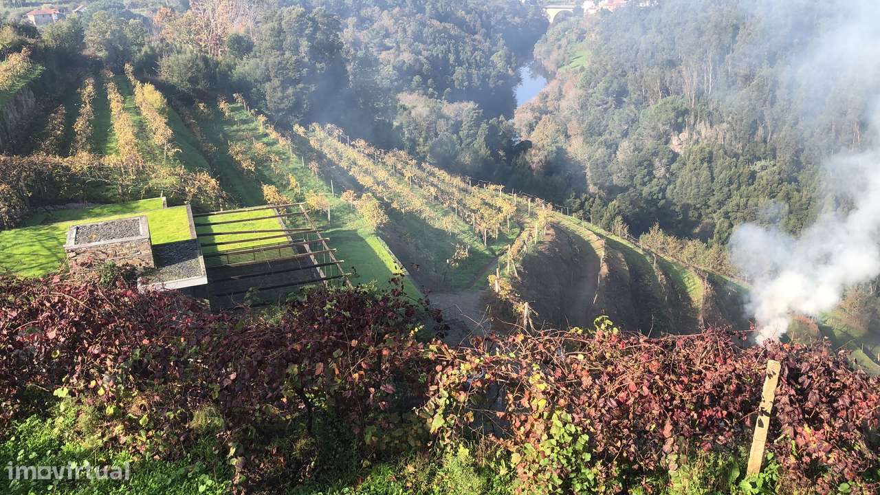 Quinta T7 Venda em Fornos,Castelo de Paiva-16