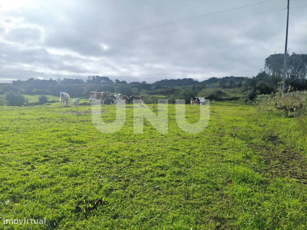 Terreno Rústico- Capelas-11