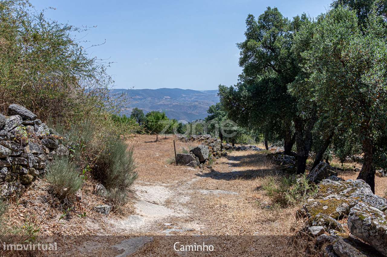 Quintinha - Lousa, Torre de Moncorvo, Portugal - Grande imagem: 3/39
