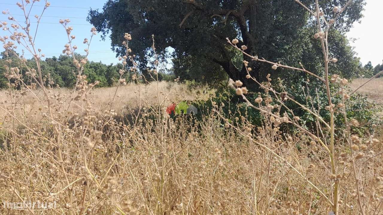 Terreno rústico com 9.200m2 em Palmela - Grande imagem: 2/6
