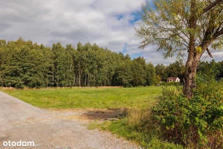 Na sprzedaż:działka budowlana w Wilkowicach-9