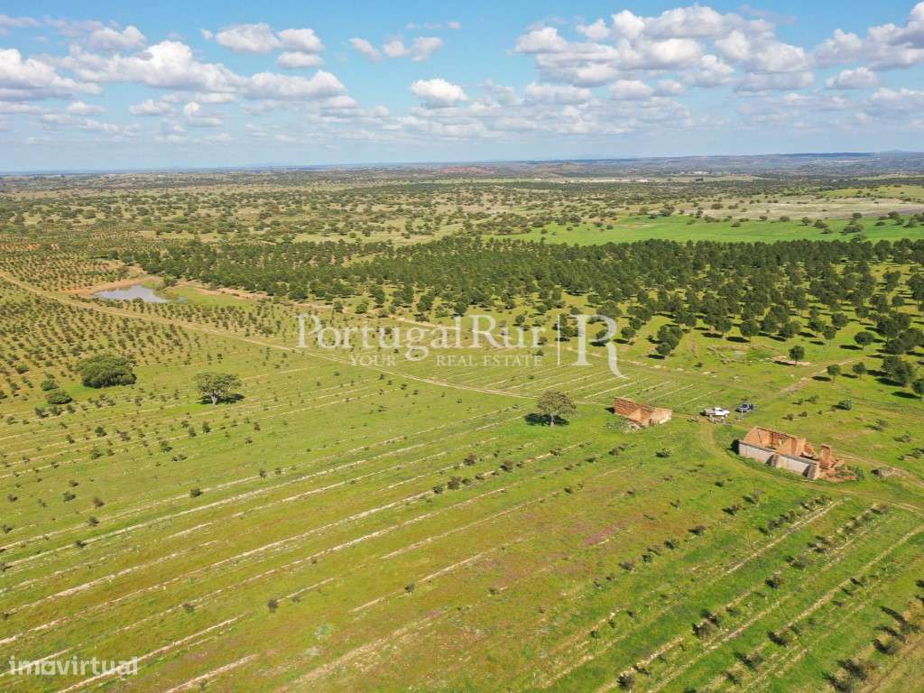 Herdades de Caça com 1300 Hectares, junto do rio Guadiana-22