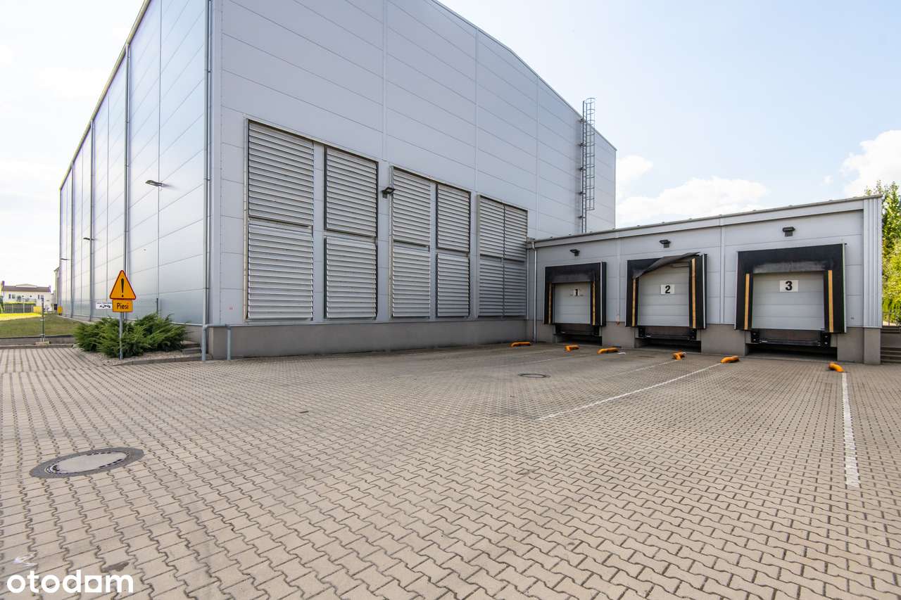 Nieruchomość na sprzedaż w Środzie Wielkopolskiej.-4