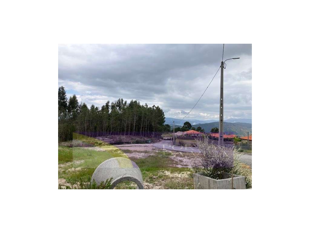 Terreno, Celorico de Bastos-13