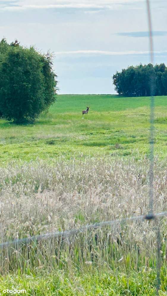 Największa  działka na Wielopolu z mediami, super widok, brak sąsiadów - Pełny obrazek: 5/6
