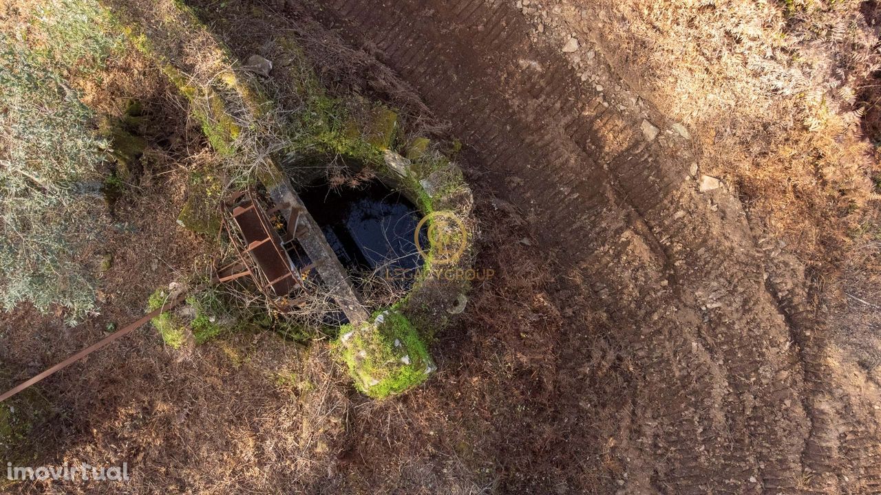 18 hectares com Ruinas em São Martinho das Amoreiras